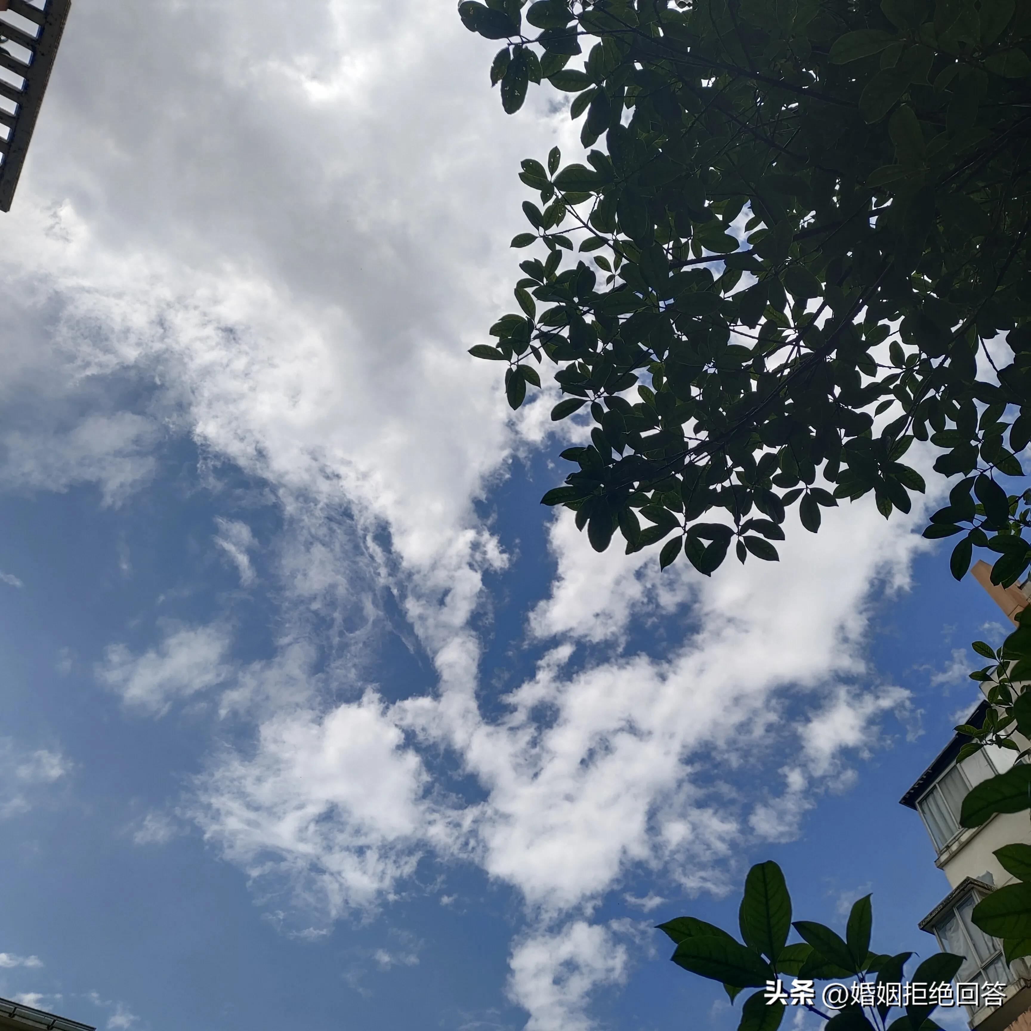 端午节送父母礼物,端午节送父母哪些比较合适