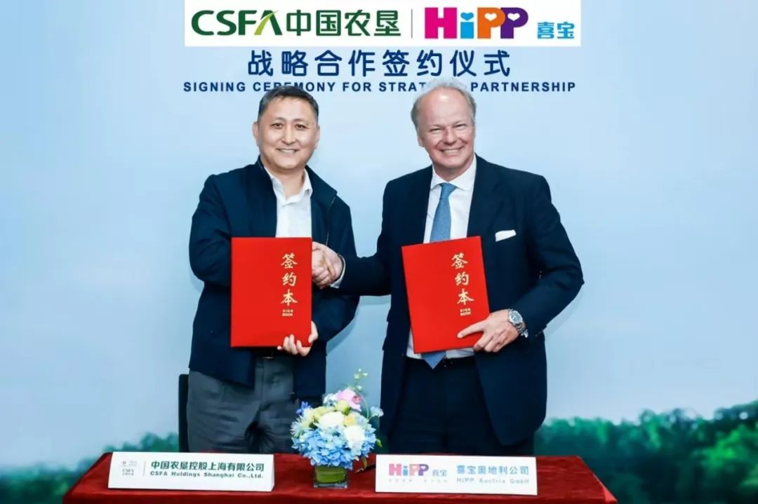 hipp喜宝荷兰版和德国版,喜宝hipp好用吗