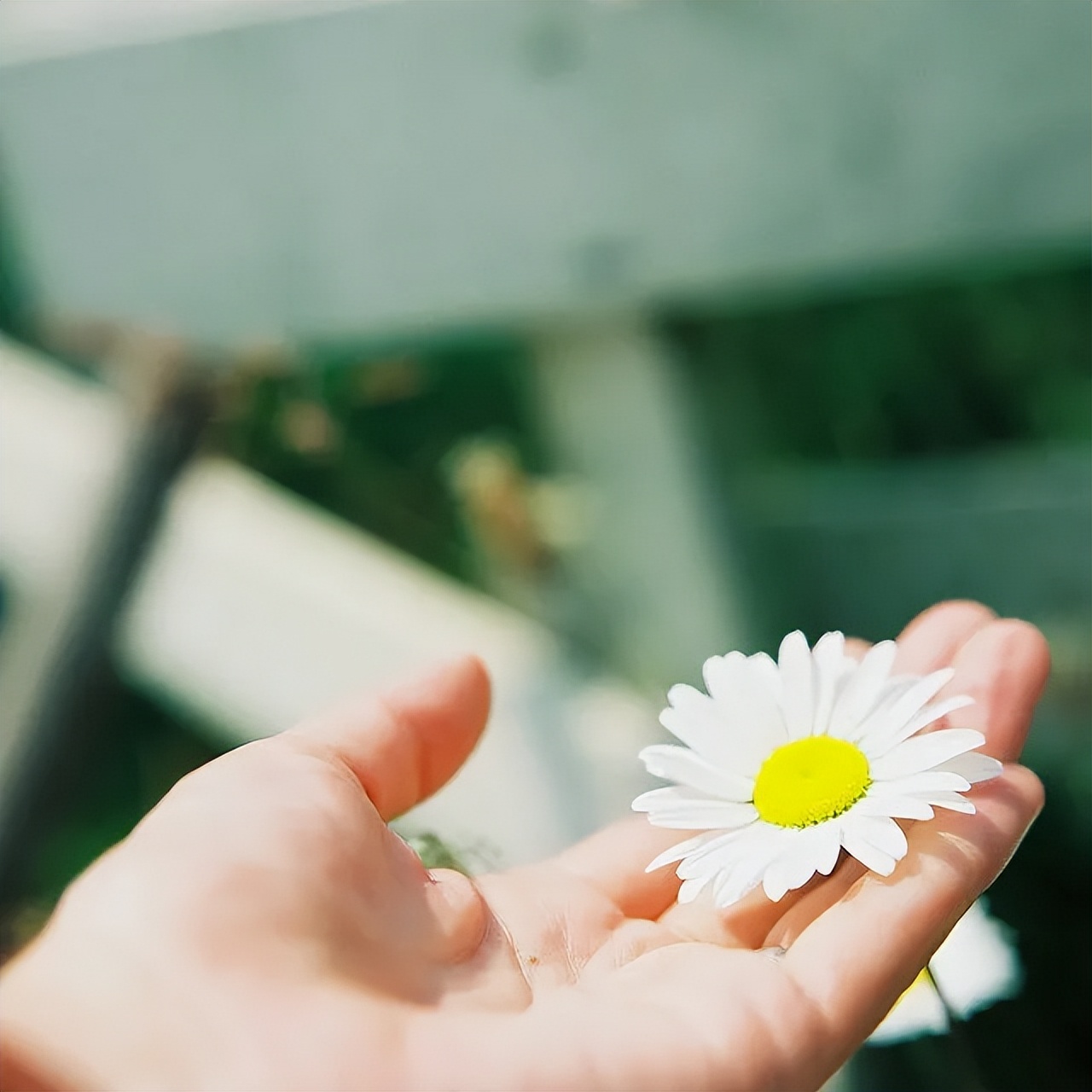 微信上从不发朋友圈的女人，不是低调，十有八九是五种人