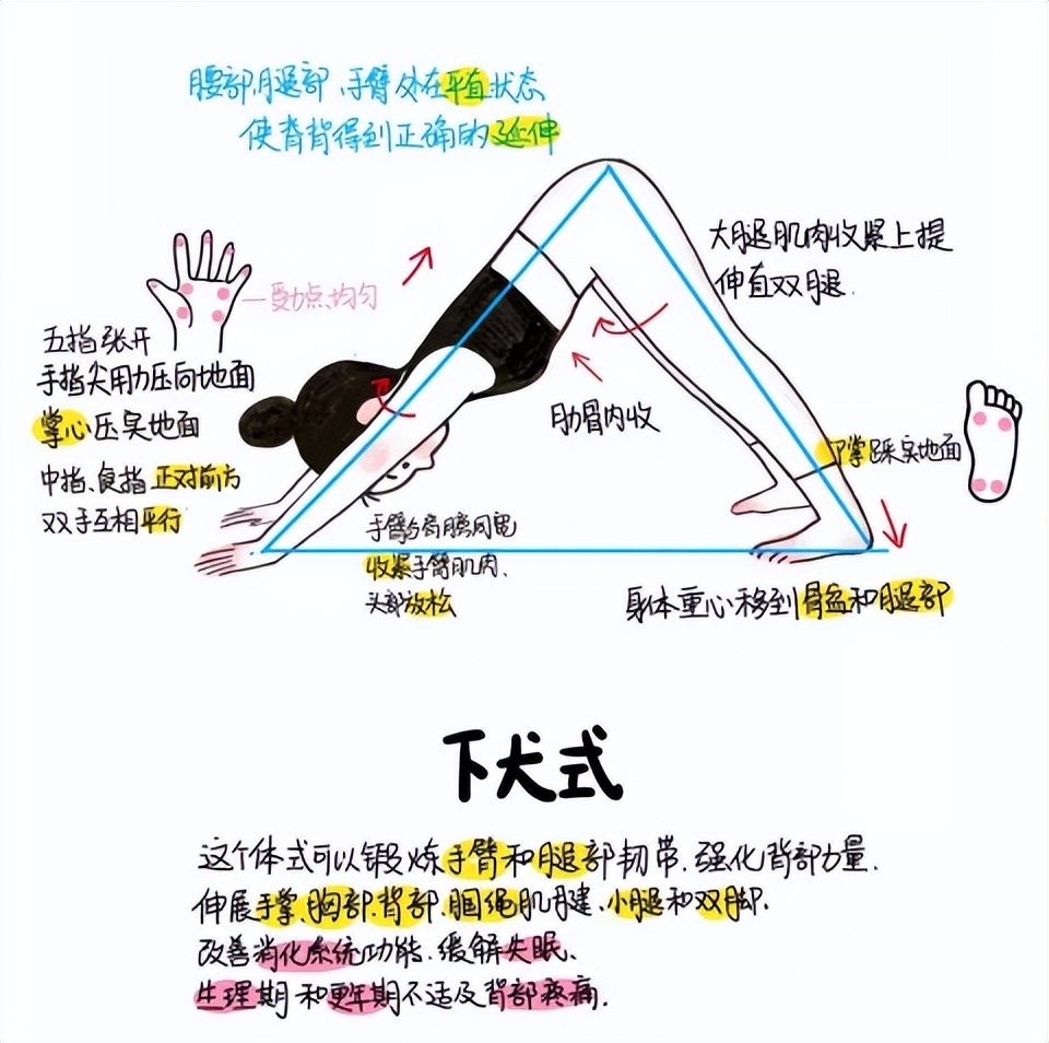 下犬式如何过渡到眼镜蛇式,下犬式过渡到眼镜蛇式口令