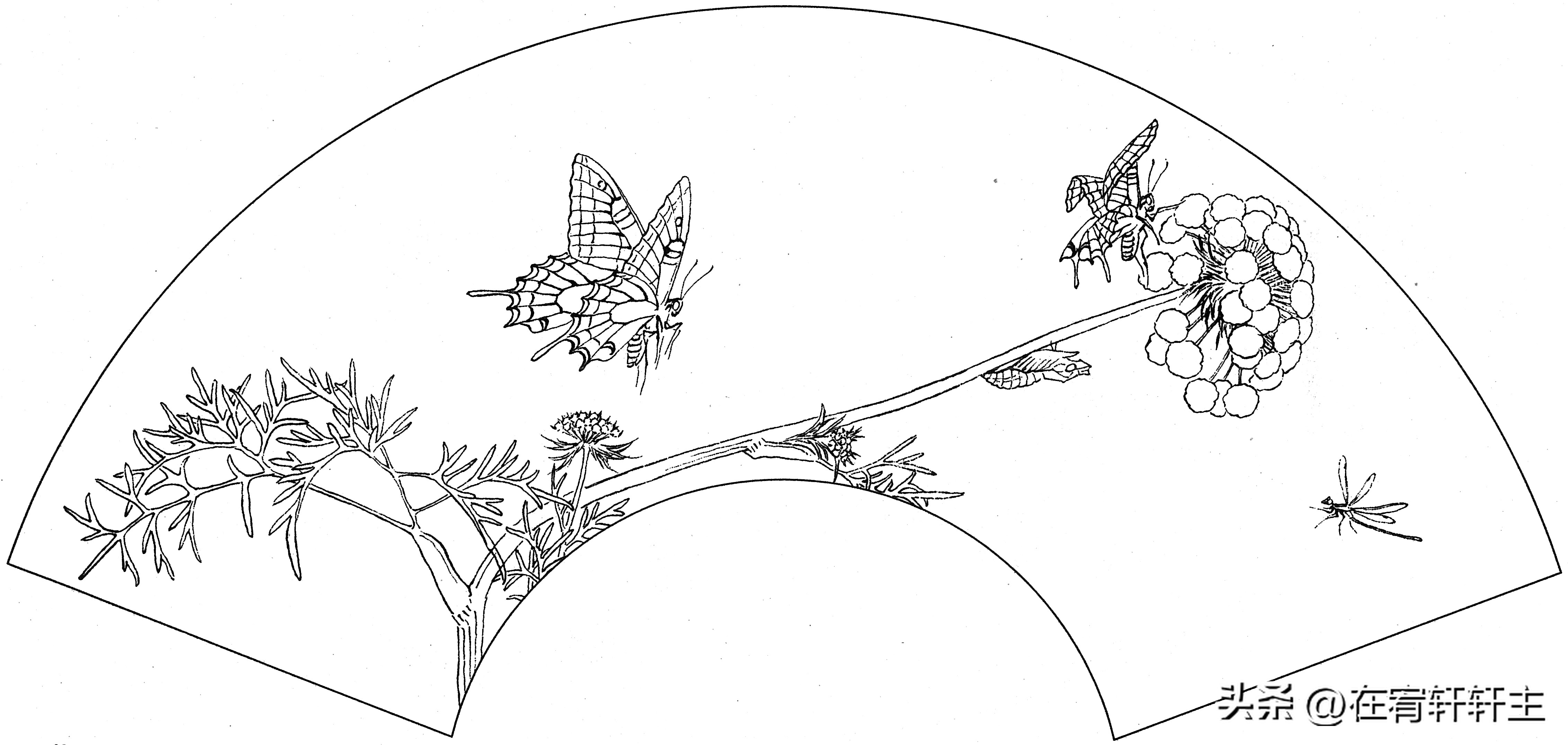 工笔白描祥云图案扇面,工笔扇面葡萄白描图片
