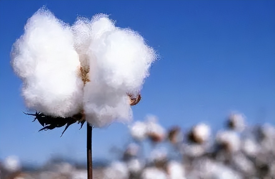 高级感棉绸裙,阿姨棉裙连衣裙