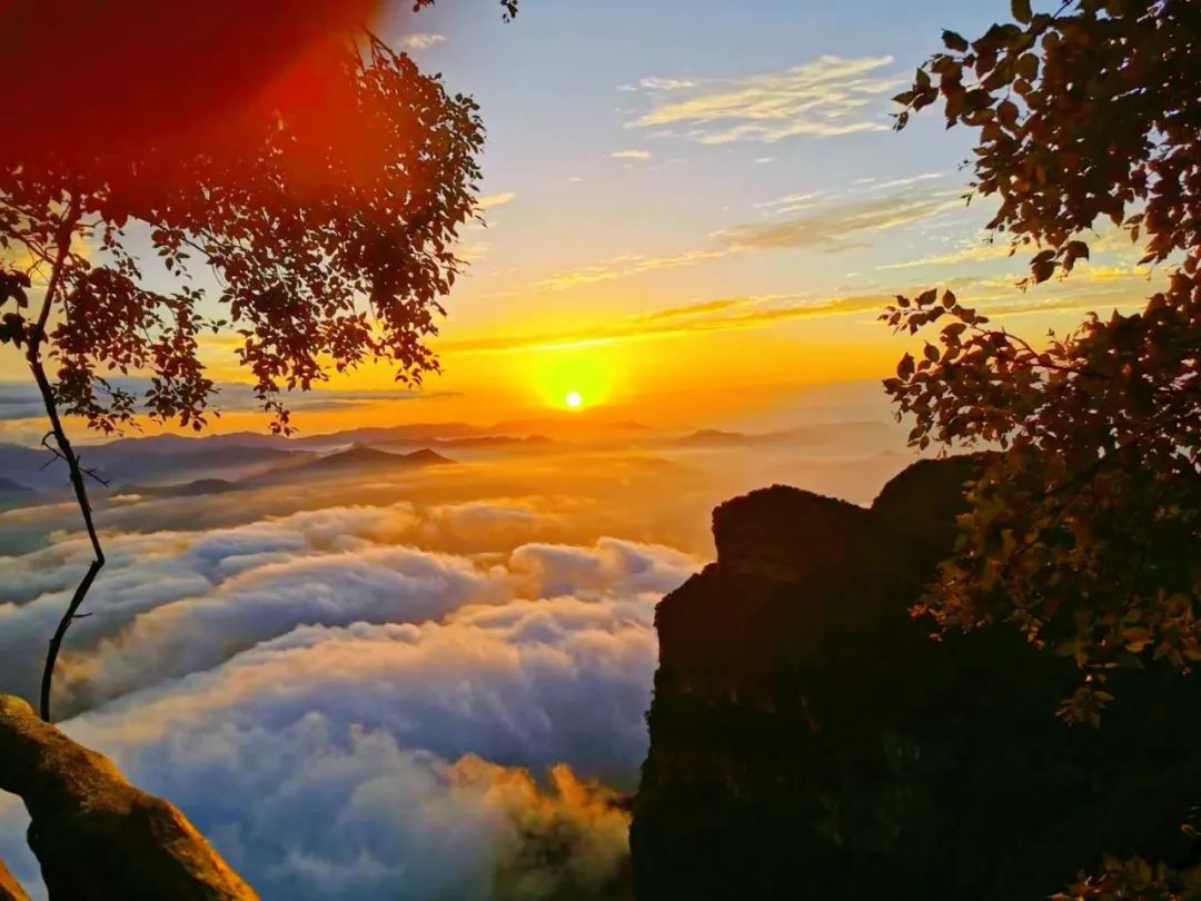 邀您免费畅游,免费领取畅游套餐