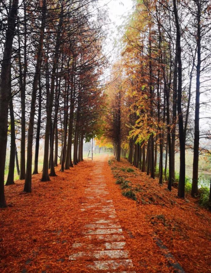 最近发烧了两次怎么回事,近期一周发烧一次自愈