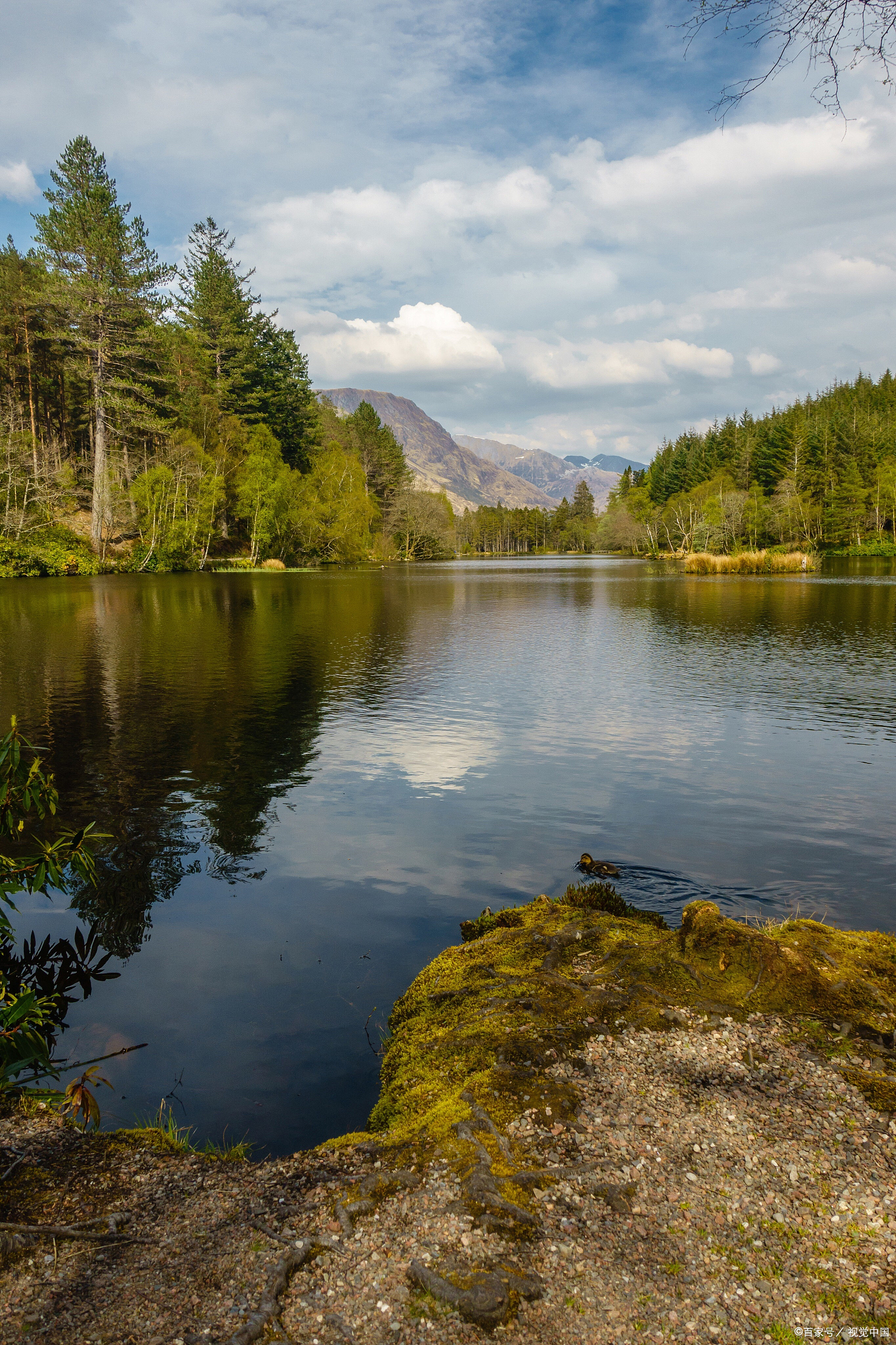 网约车三年后还能继续跑滴滴么,已经注册滴滴车龄超过八年怎么办