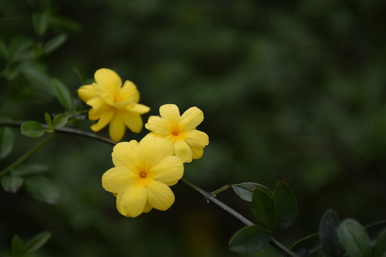 男人撩你和爱你，连发微信的方式都不一样