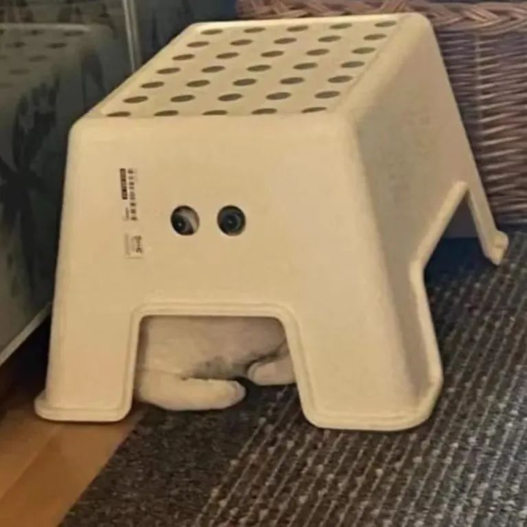 “男友花8150买包包，拆开后...”奢侈品不骗穷人！