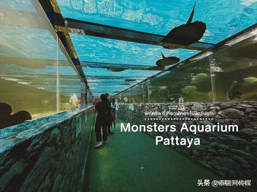 泰国芭提雅旅游景点大全,泰国芭提雅最新游玩