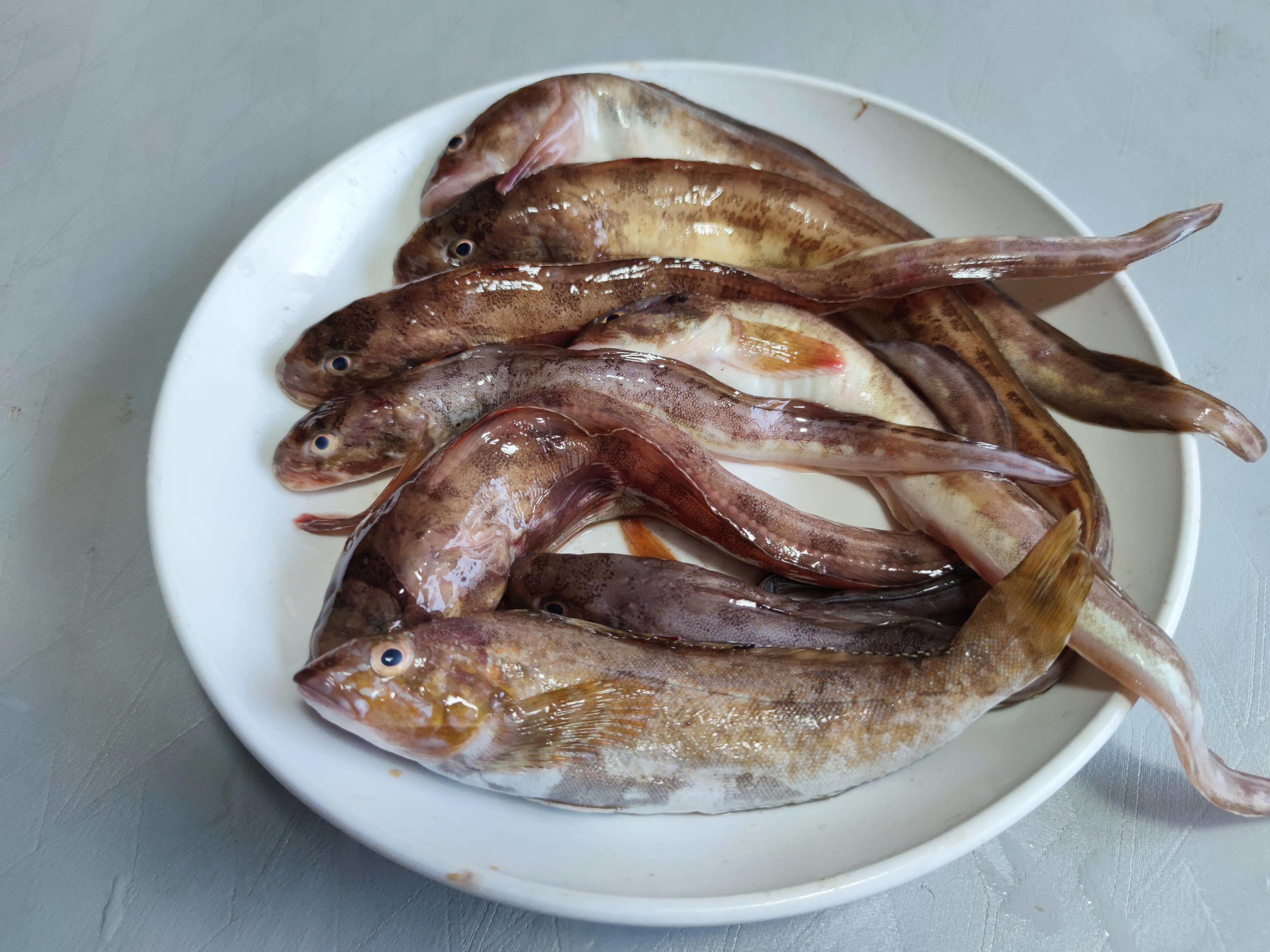 端午节十大禁忌,端午节十大禁忌完整