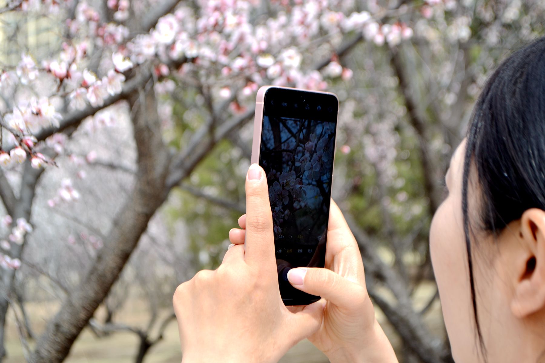 没有短板的手机,没什么短板的手机