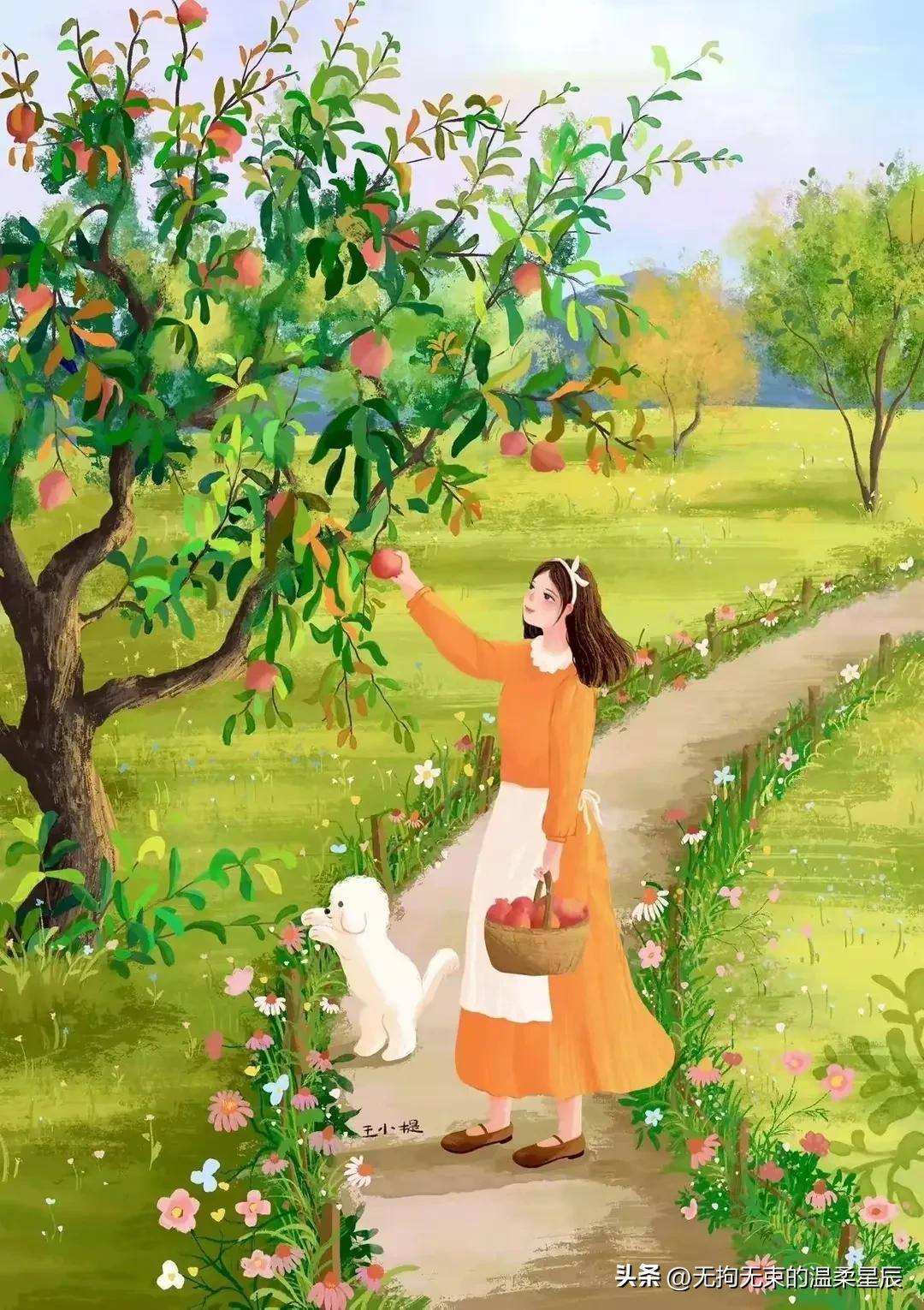 人与人之间信任是怎么消失的,人与人的信任正在渐渐消失