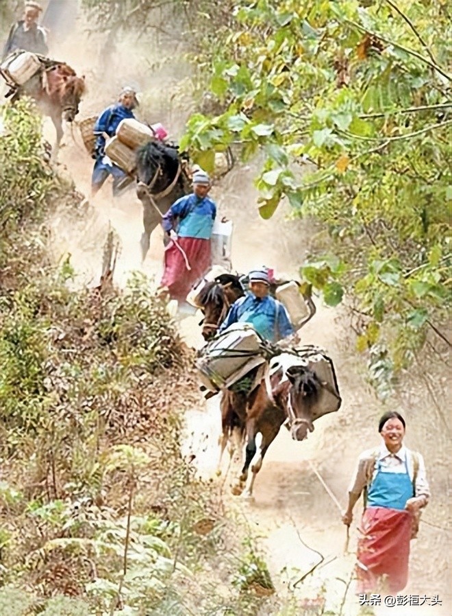 人力、风力、水力、畜力和蒸汽机（46）