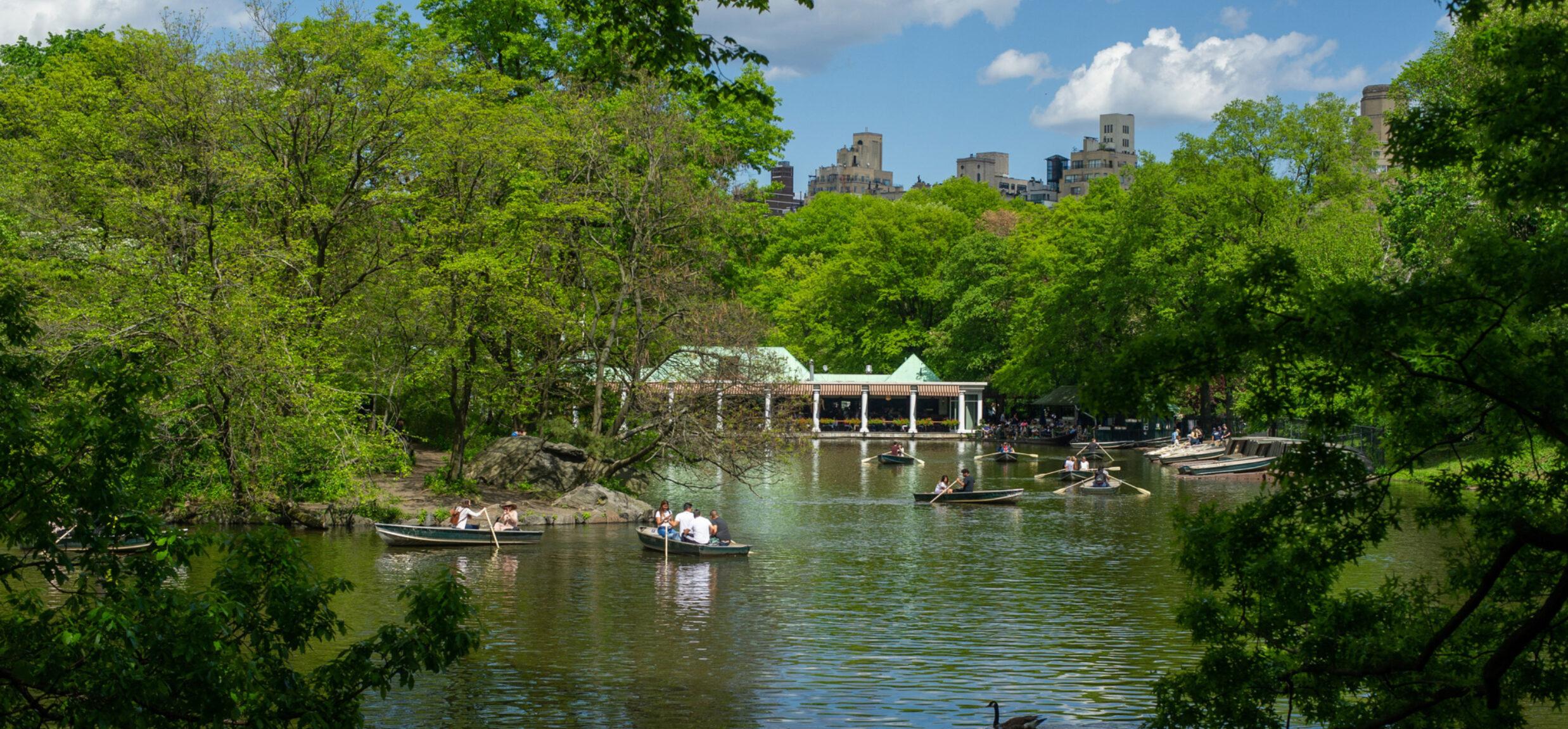 纽约公园中央公园,纽约中央公园的棒球场