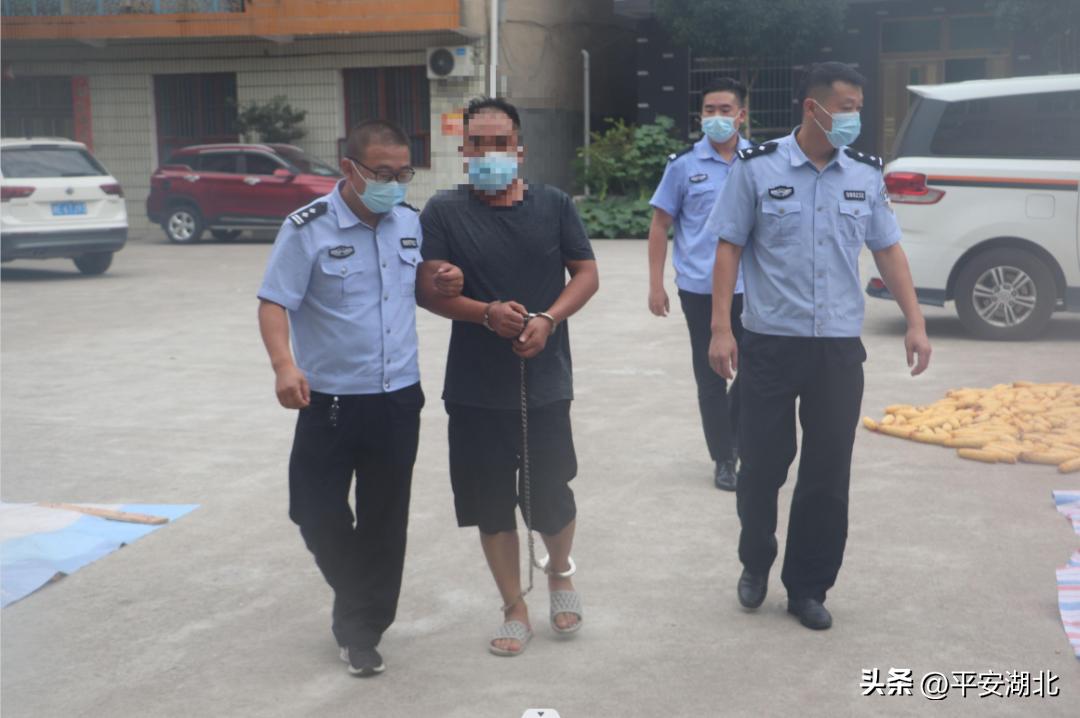 湖北警方通缉重大命案逃犯 (咸宁警方抓获一名潜逃22年的逃犯)