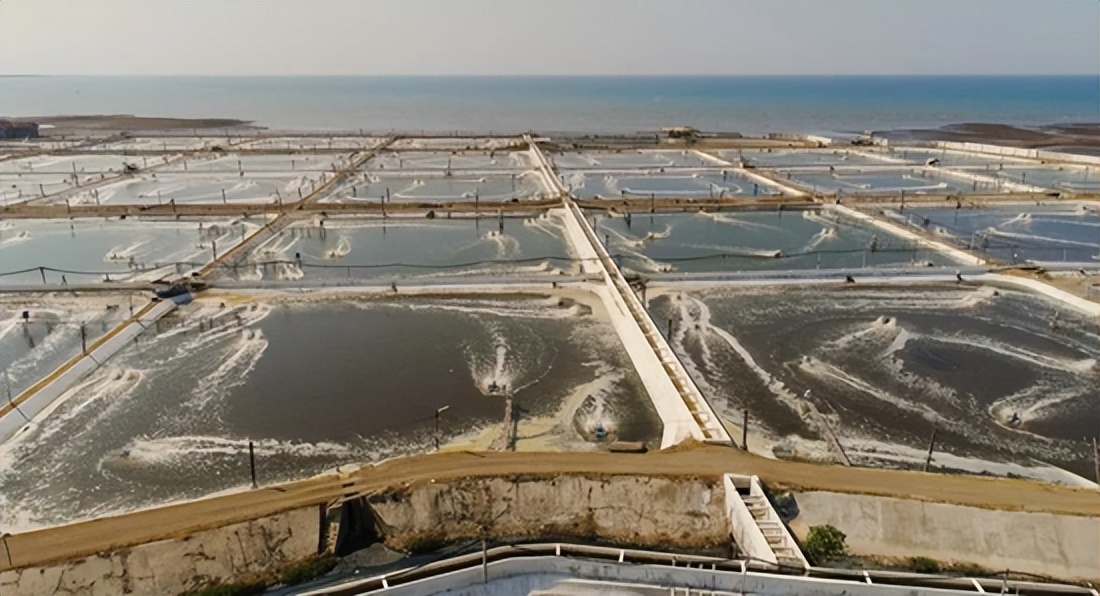 全球四大粮商之嘉吉：近十年产业布局梳理