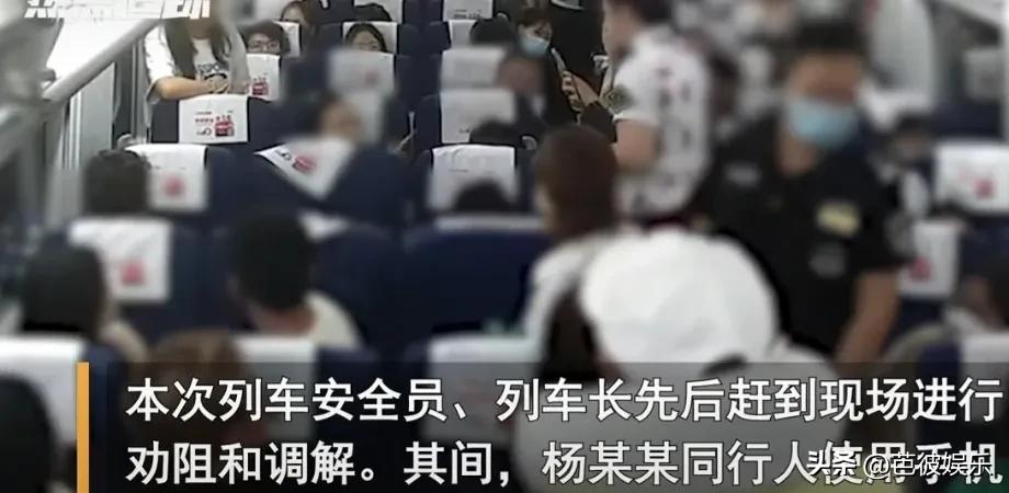 成都高铁掌掴事件车厢完整视频,成都高铁掌掴事件原视频