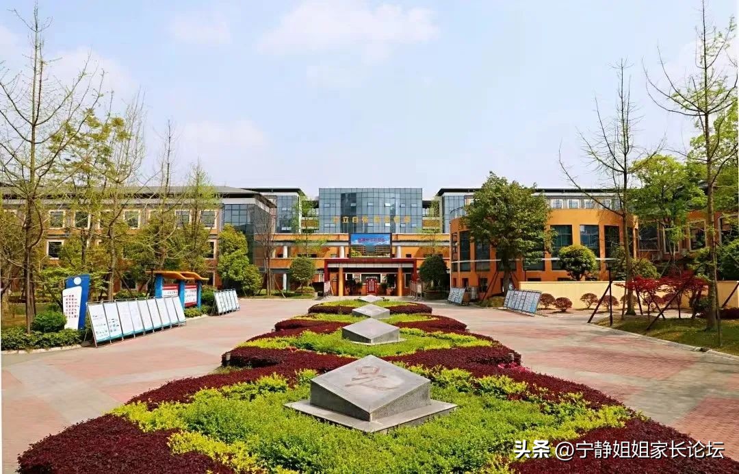 新都区2023年中考回城生报名须知