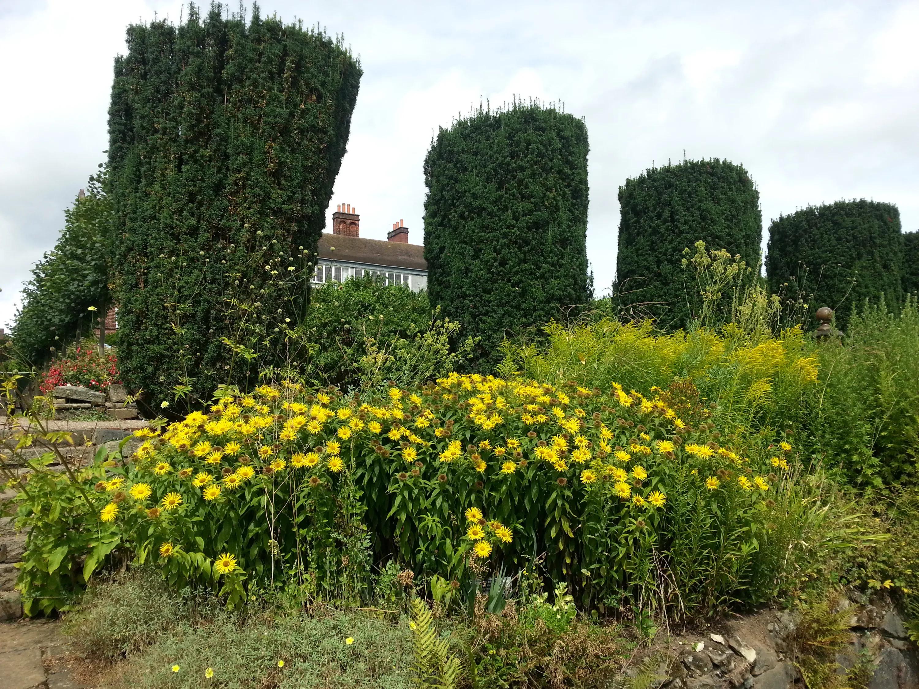 英国伯明翰留学,英国之旅伯明翰