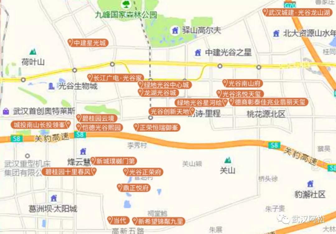 光谷步行街楼市现状,光谷楼市最新行情