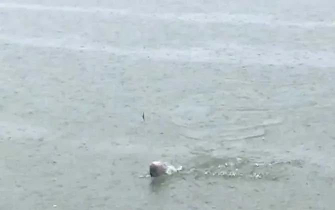 新手钓鱼入门基本功怎样绑子线,新手钓鱼入门基本功怎样绑浮标