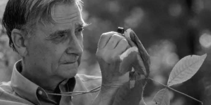 了解心理学应该看什么书,必读的心理学十本书