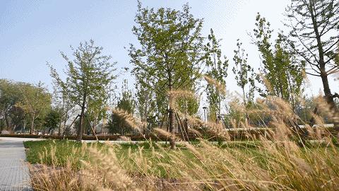 京张铁路遗址公园再添打卡地,京张遗址公园一期示意图