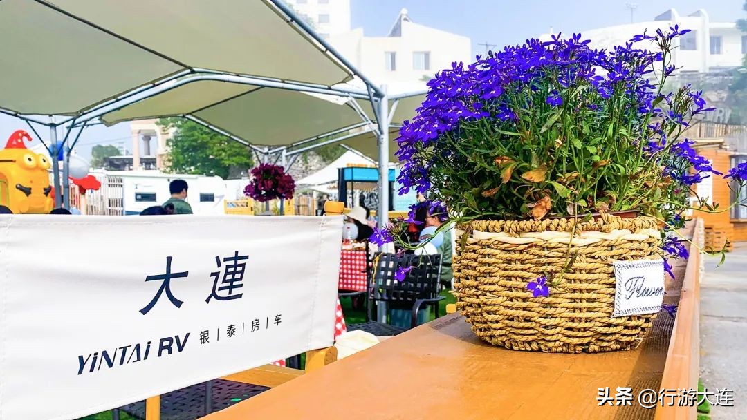 面朝大海，露营自由！5大营地，大连人独有的小欢喜来了