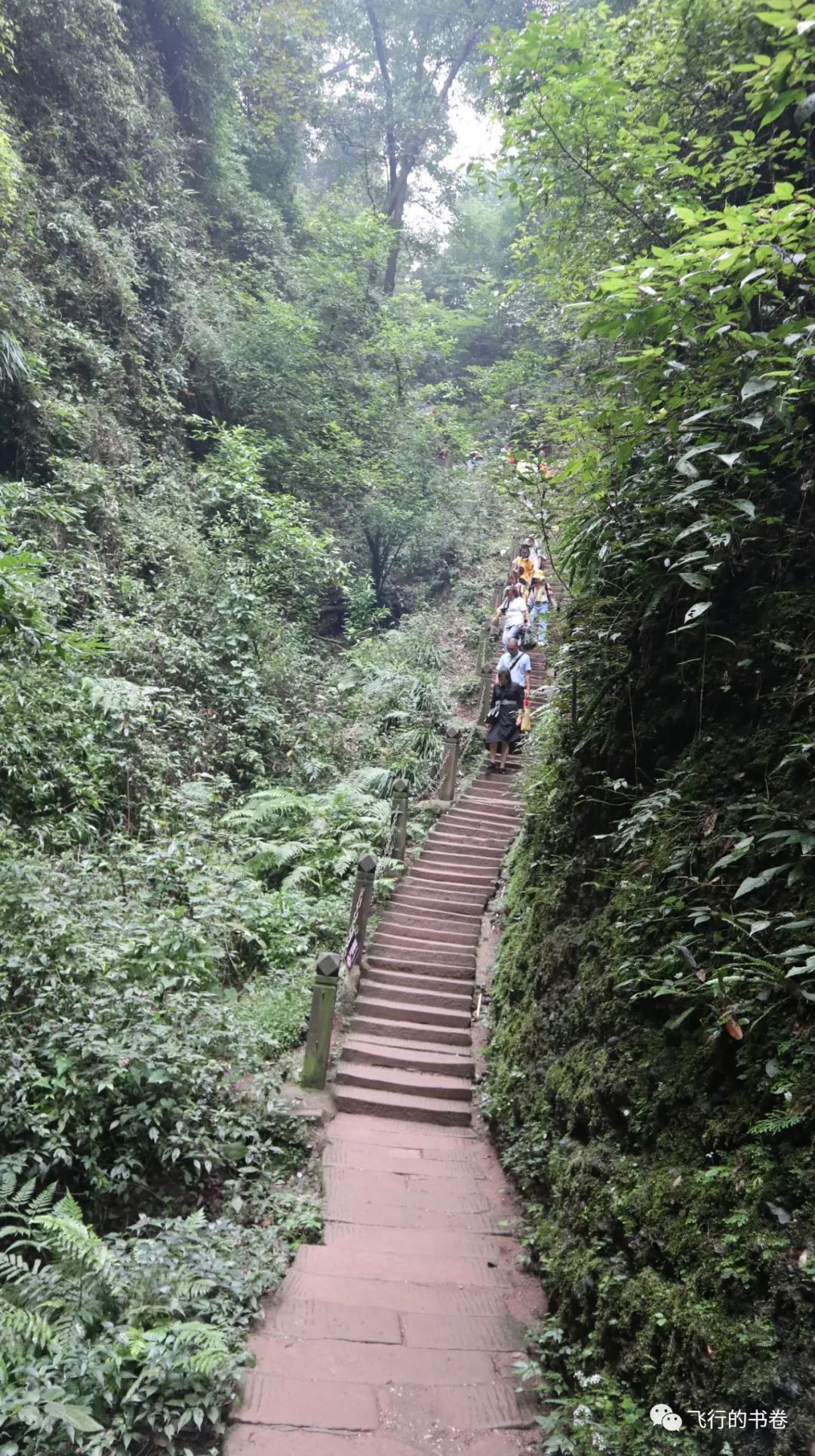 道教四大仙山你爬过几座,青城山为什么被称作道教第一山