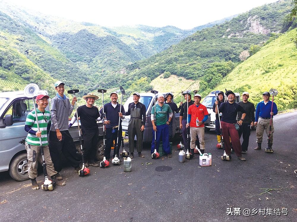 日本爱媛县柑橘,日本爱媛县柑橘研究所