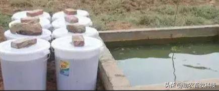 复合肥鸡粪肥,粪制肥料