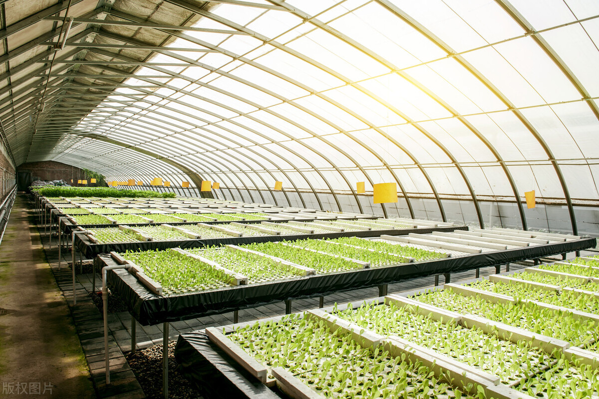 她的创业史,讲述他的创业故事