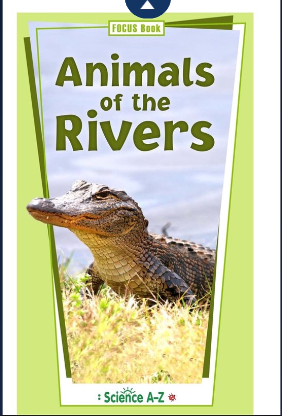 什么是大名鼎鼎的LearningA-Z?全球最详细的中文版图文视频介绍