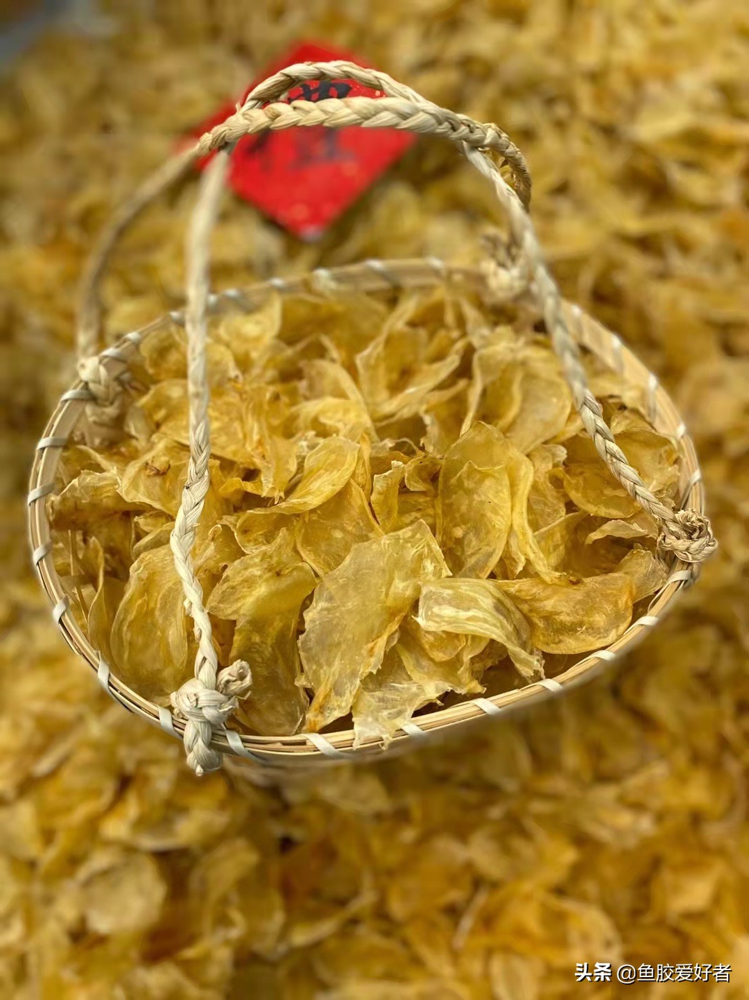 最全鱼胶品种大全,值得收藏的鱼胶品种