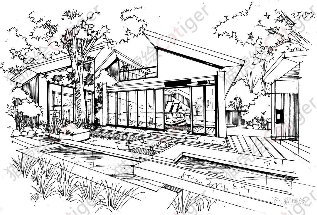 2022猫虎绘暑假手绘班招生简章「线上+线下」