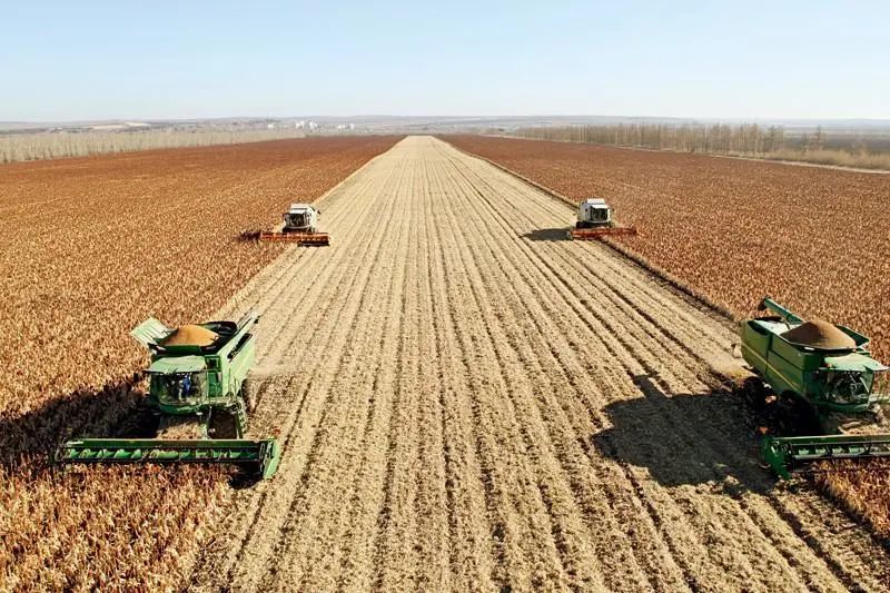 东盟农业合作平台,中国东盟现代农业科技合作园