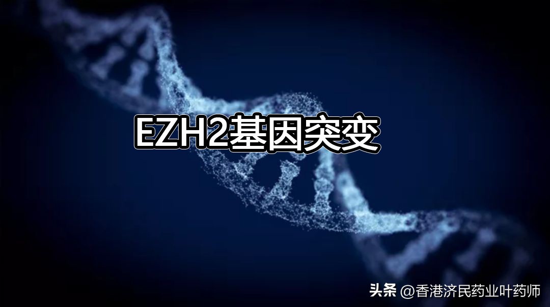 malt惰性淋巴瘤的靶向治疗,上皮样肉瘤靶向药价格