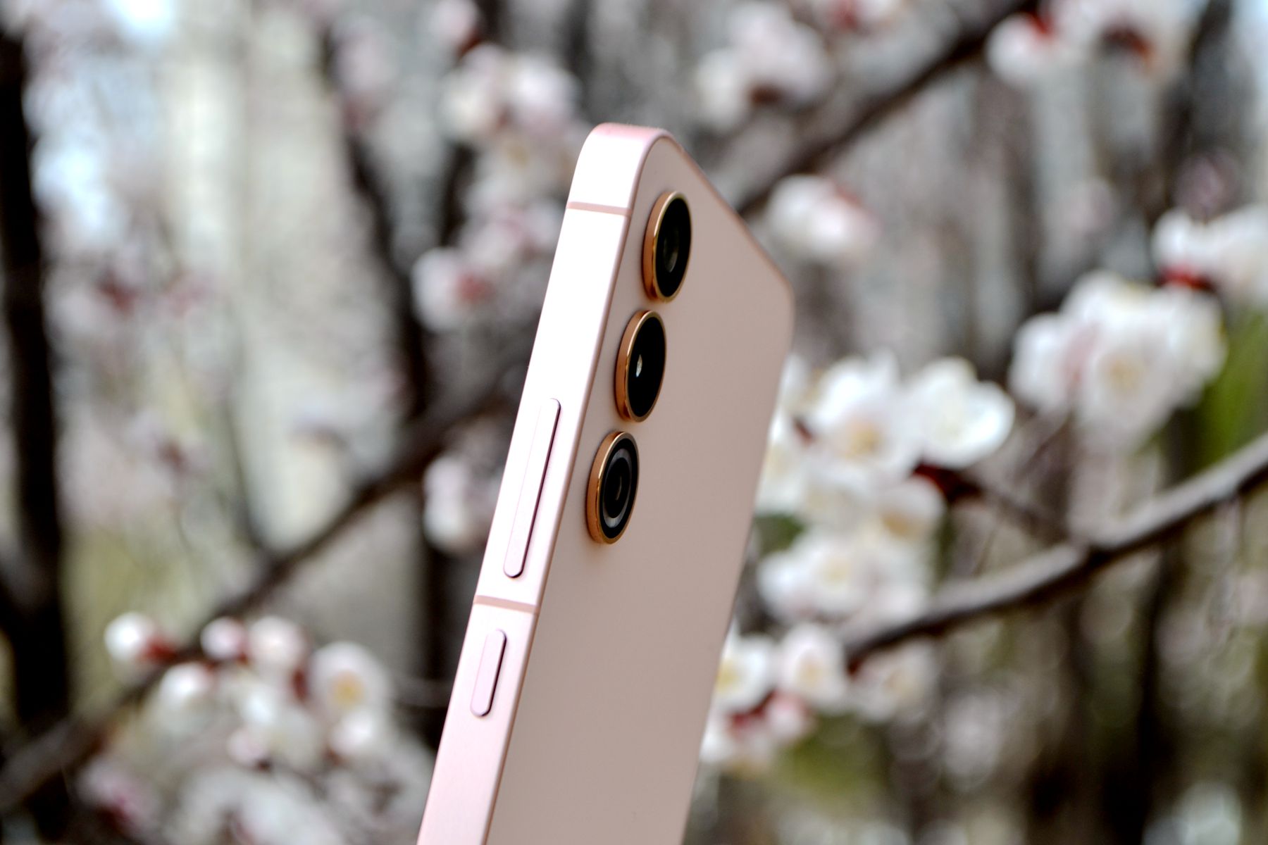 没有短板的手机,没什么短板的手机