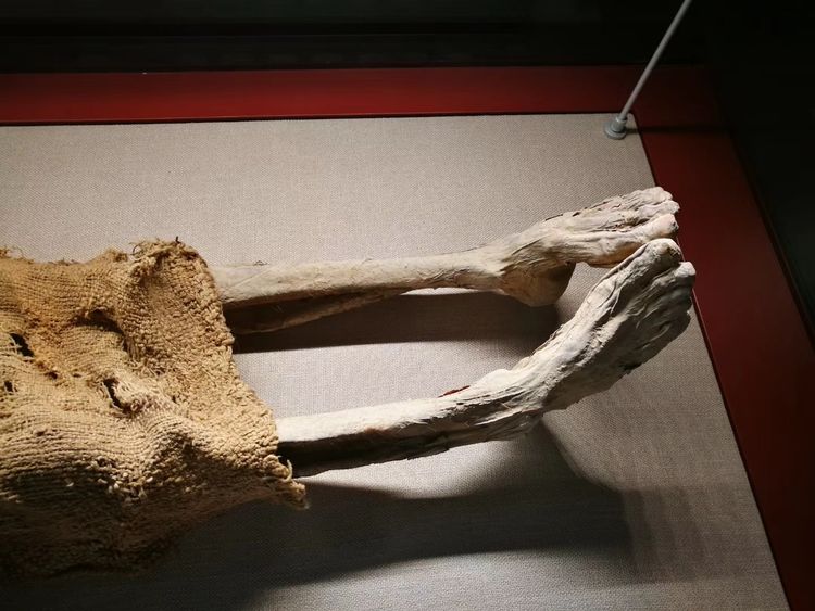 楼兰美女古尸在哪出土的,楼兰美女古尸距今有多少年