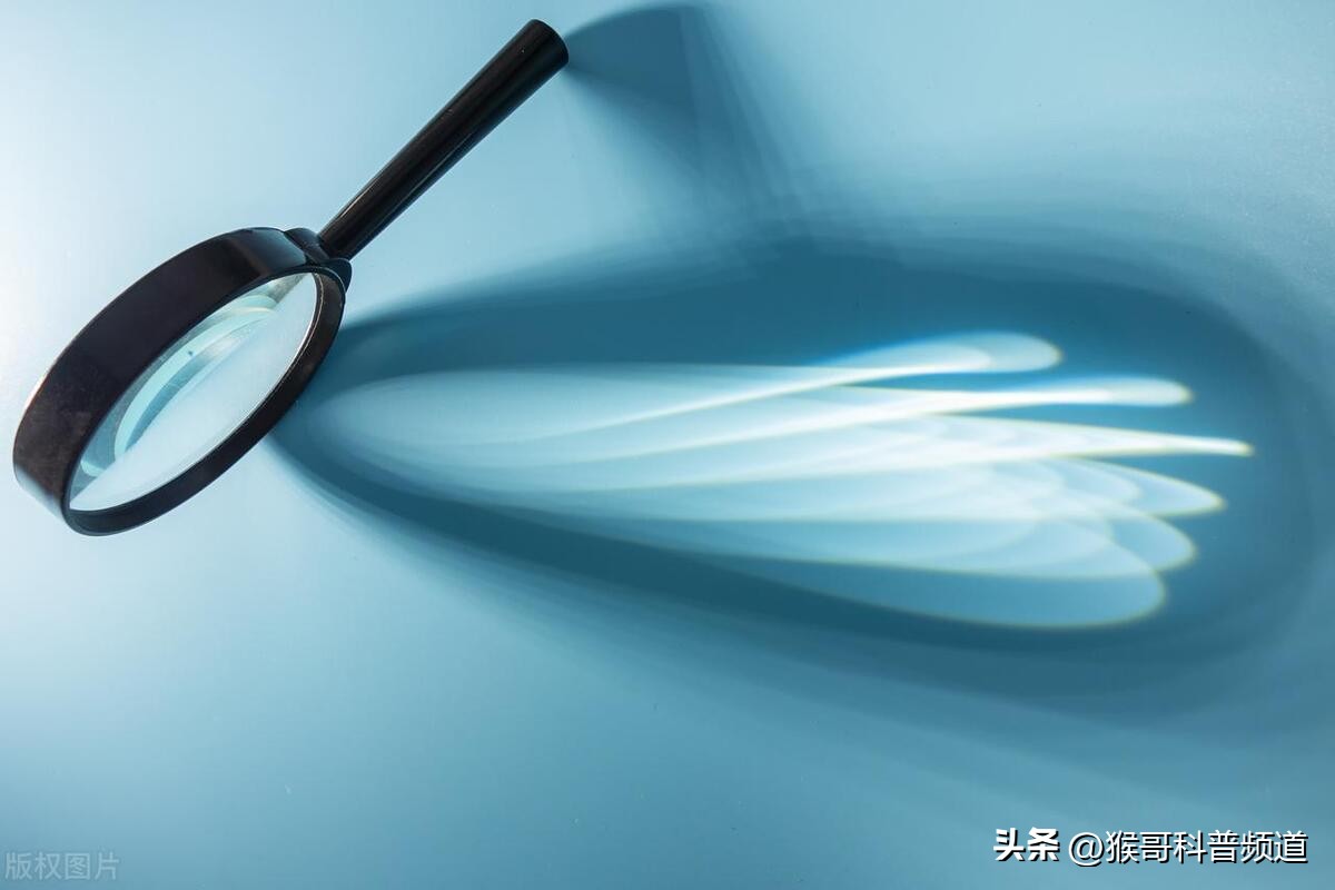 洒出去的水有形状，射出去的光也有形状吗？