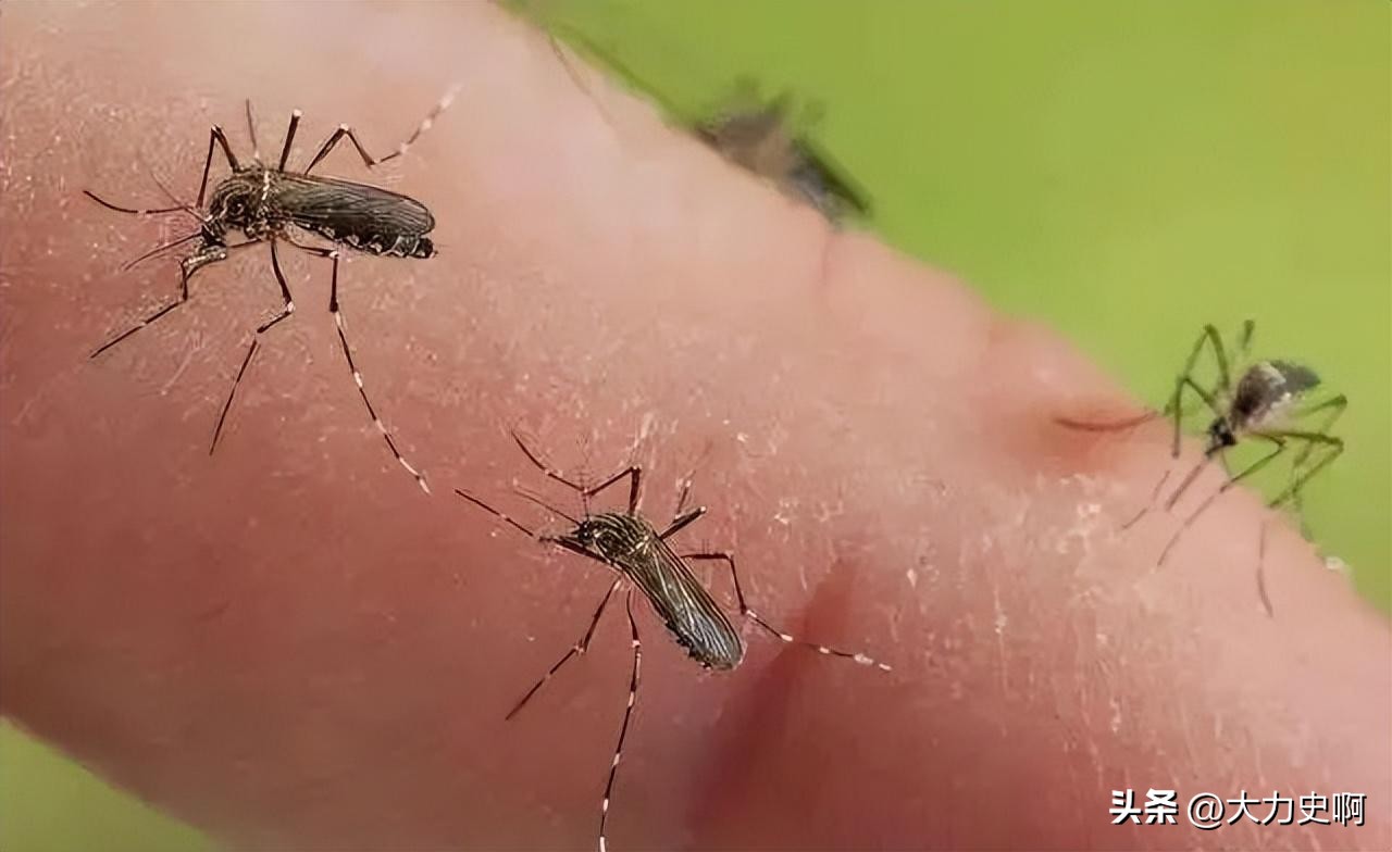 古代刑罚蚊刑,古代的蚊刑有多严重