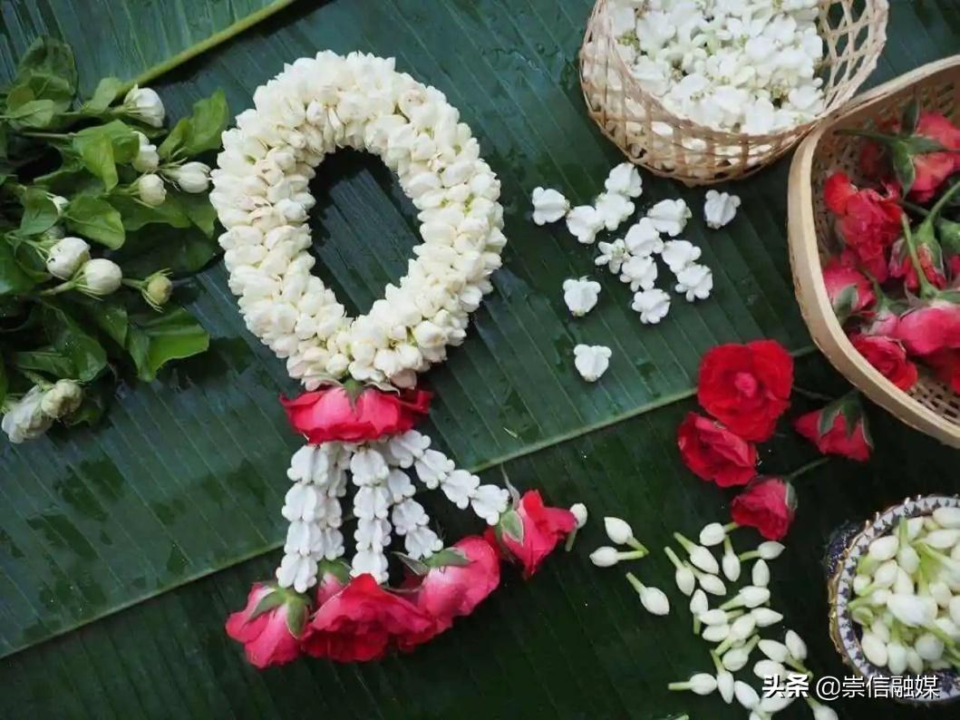 母亲节背后的历史,母亲节为什么要送洋甘菊康乃馨