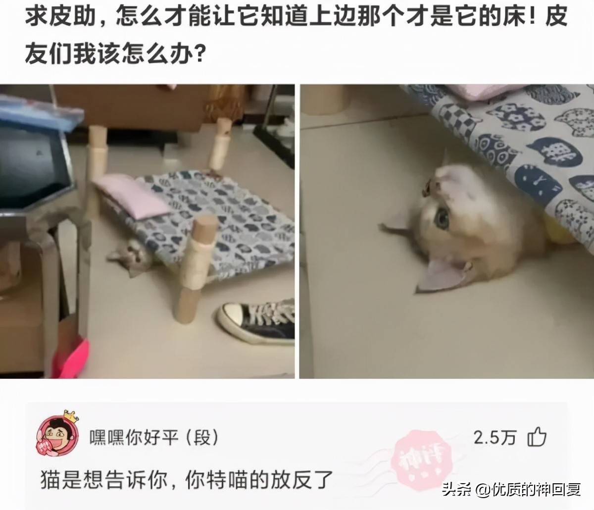 同事总是说要离职怎么回复,同事说要离职了