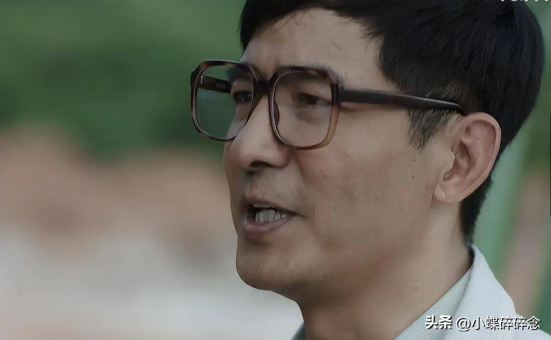 许你万家灯火即将播出,许你万家灯火电视剧收视率