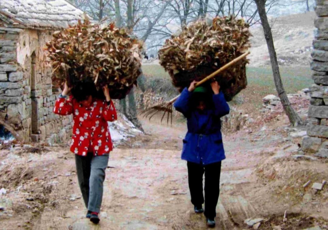 新农合涨价还能继续交吗,新农合涨价六类人不用交