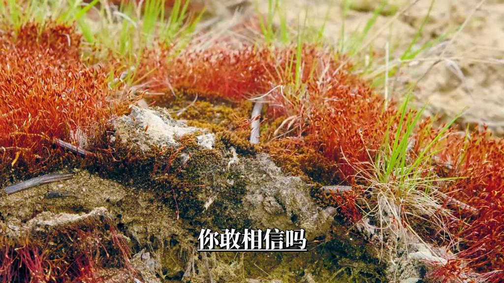 8个商业经典投资案例,108篇商业案例