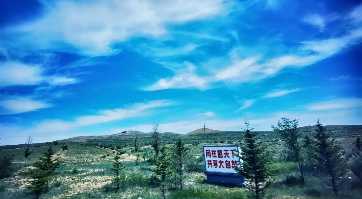 骞胯ⅳ钃濆ぉ鑷敱缈辩繑,灞曟湜鑷敱缈辩繑