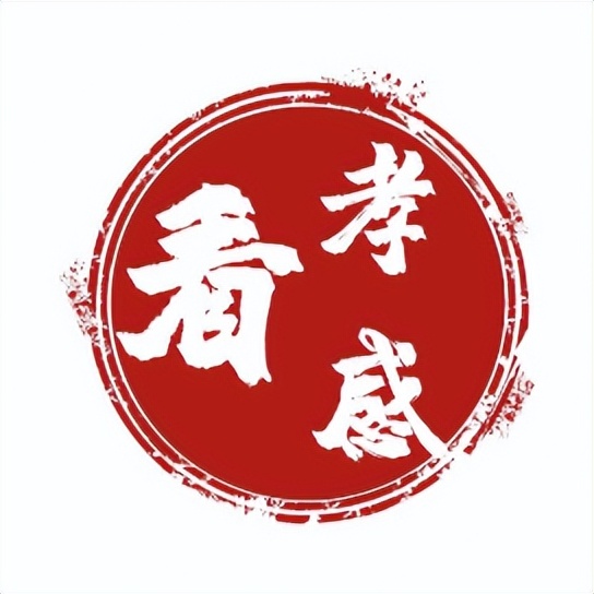 孝感新建三甲医院,孝感市三甲医院排名