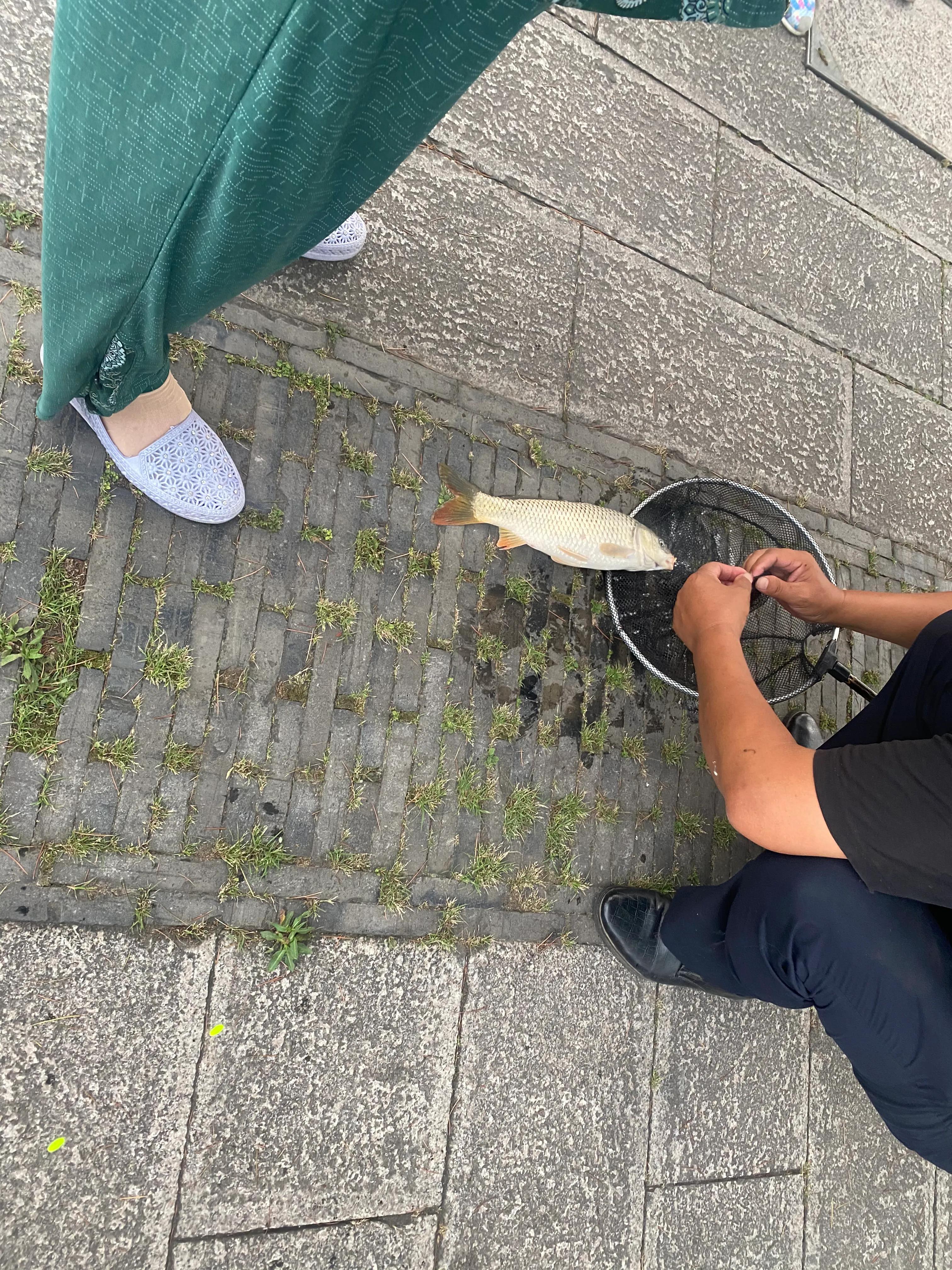 徒步318川藏线日记,徒步灵岩山日记