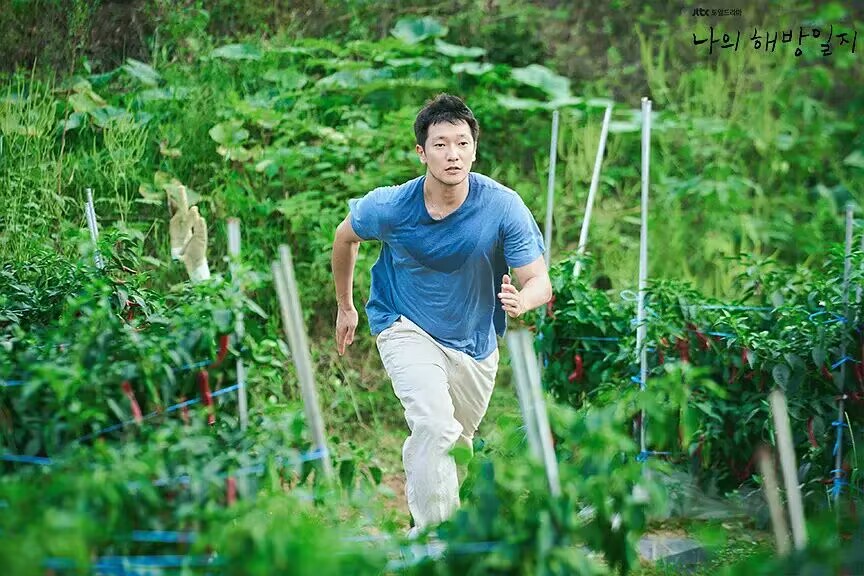 韩剧推荐2020正在热播的李钟硕,2020超级好看的韩剧李钟硕