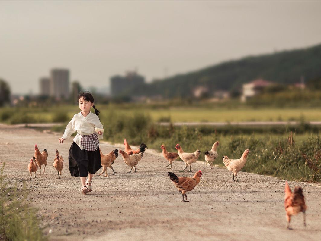 陶渊明诗中的桃花源在哪,陶渊明桃花源记中的桃源